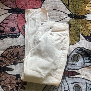 everlane the cheeky jean cropped